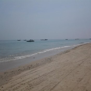 �������С��������ջ�Ƶ��ṩͼƬ