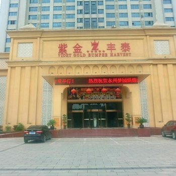 永州紫金丰泰大酒店酒店提供图片