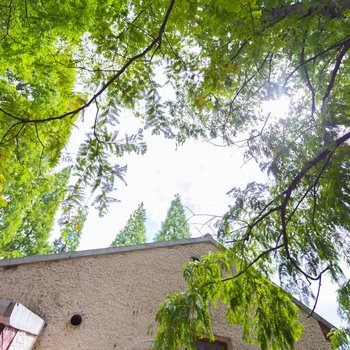 上海Belink阳光之家复式酒店提供图片