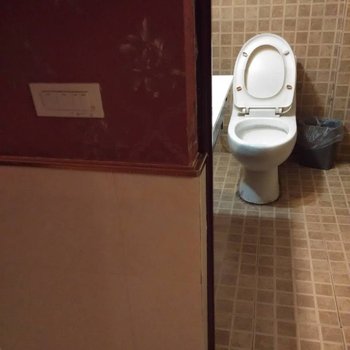 环江县星期八商务酒店(河池)酒店提供图片