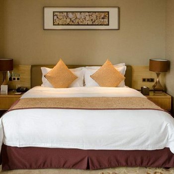 重庆万雅精品酒店酒店提供图片