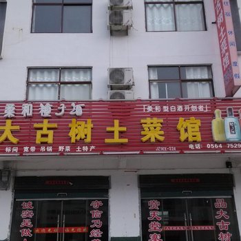 金寨大古树宾馆酒店提供图片