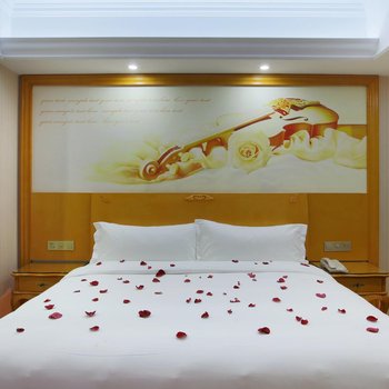 维纳斯国际酒店(上海国际旅游度假区野生动物园店)酒店提供图片