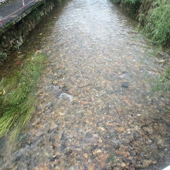 安吉绿水青山花园农庄酒店提供图片