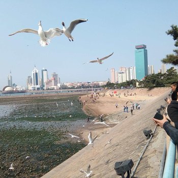 青岛爱神影视演员之家酒店提供图片