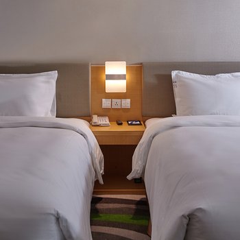 唐山中心智选假日酒店酒店提供图片