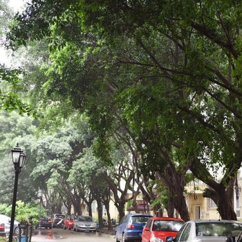 成都旅居之家普通公寓酒店提供图片