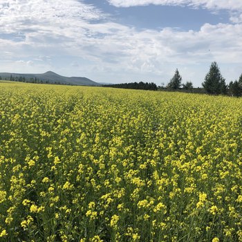 丰宁刘不开民宿酒店提供图片