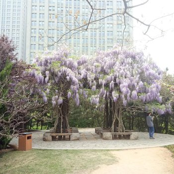 日照华润惠民主题公寓酒店提供图片