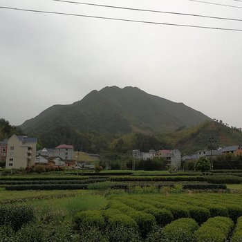 丽水遂昌竹隐民宿酒店提供图片