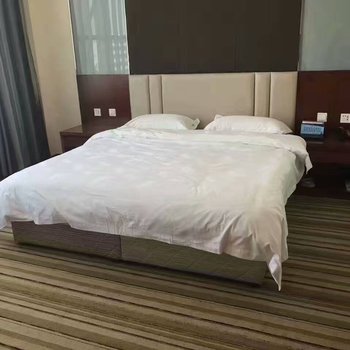 西安高陵阳光酒店酒店提供图片