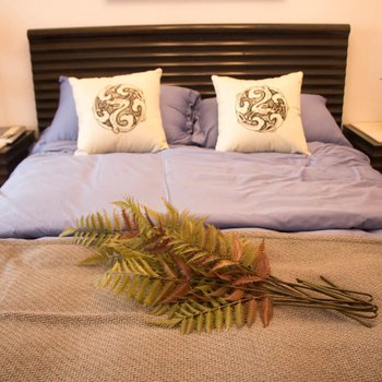 成都自由职业者投资人喜欢黑科技普通公寓(通祠路店)酒店提供图片