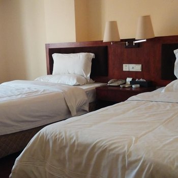 茂名电白棕榈园酒店酒店提供图片