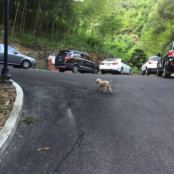 重庆雾泉山庄酒店提供图片