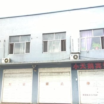 绥滨小天鹅宾馆酒店提供图片