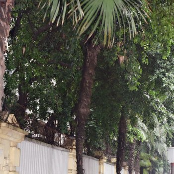 成都旅居之家普通公寓酒店提供图片