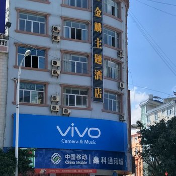 文山金麟主题酒店酒店提供图片