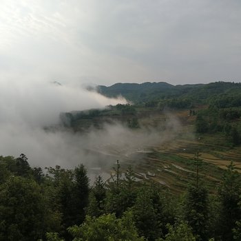 红河过云居主题客栈酒店提供图片