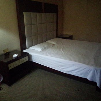 乌鲁木齐世纪星宾馆酒店提供图片