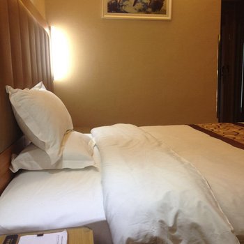 伊吾金湖酒店酒店提供图片