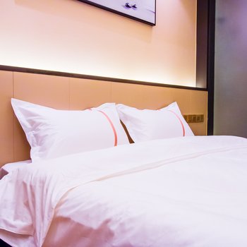 银川99号假日酒店中山公园店酒店提供图片