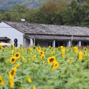 温州花田民宿酒店提供图片