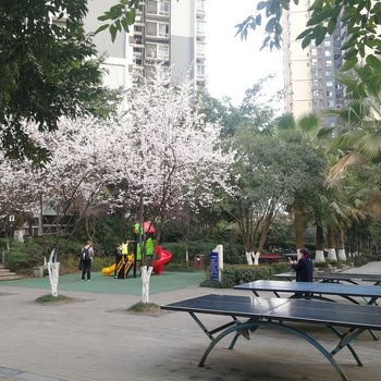 重庆孙静科普通公寓酒店提供图片