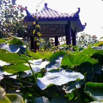 重庆黔门生态农庄酒店提供图片
