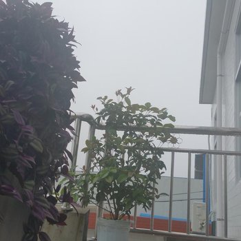 眉县徐家农舍