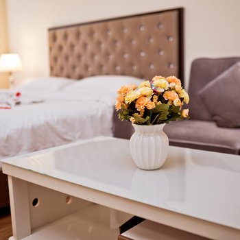 佰合精选国际度假公寓(广州新白云机场店)酒店提供图片