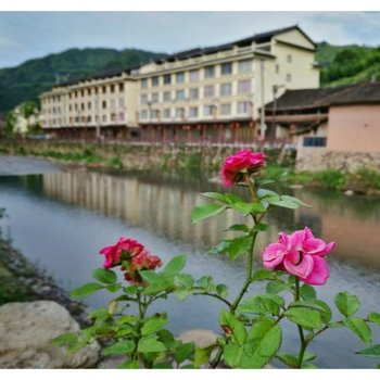 泰顺曲岸溪边民宿酒店提供图片