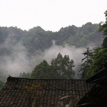 上里大树客栈酒店提供图片