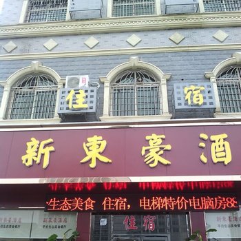 郴州资兴新东豪酒店酒店提供图片