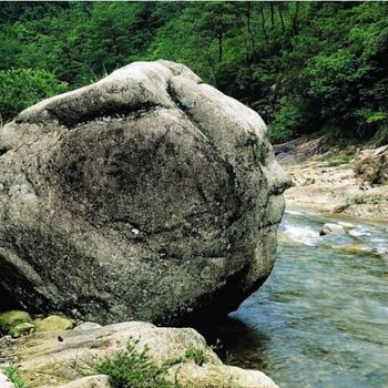 绩溪徽杭古道翠竹山庄(宣城)酒店提供图片