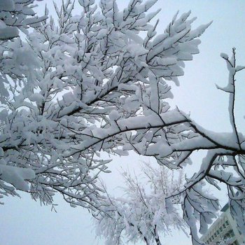 延边雪山别院普通公寓酒店提供图片