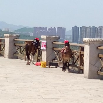 兴城唯依家庭宾馆酒店提供图片