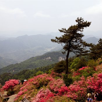 洪山宾馆麻城龟峰山庄酒店提供图片