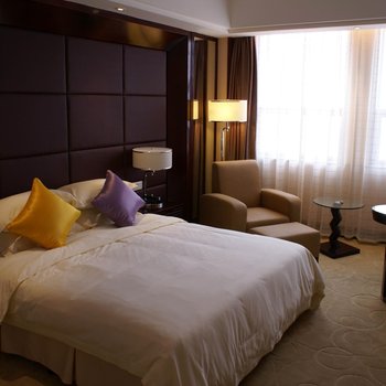 新余春龙国际大酒店酒店提供图片