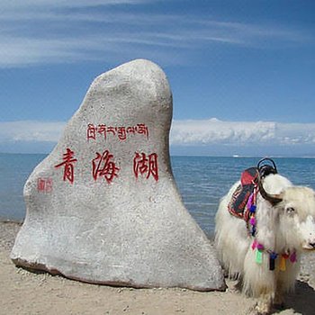 共和青海湖老周青年旅舍酒店提供图片