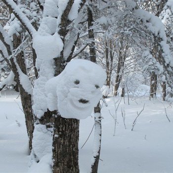 雪乡刘媛媛家庭旅馆酒店提供图片