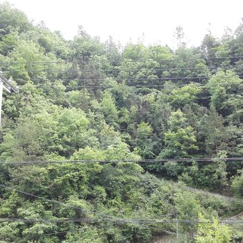 城口红岸大巴山森林人家