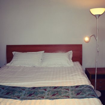 上海半岛婷苑别墅民宿酒店提供图片