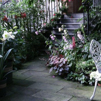 成都空中花园精品民宿(青羊大道草金路口店)酒店提供图片