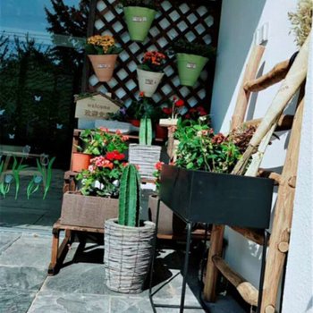 湖州泊心千寻精品民宿酒店提供图片