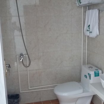 克什克腾旗乌兰布统德力格尔度假村酒店提供图片
