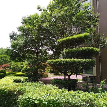 西安三好的家普通公寓酒店提供图片