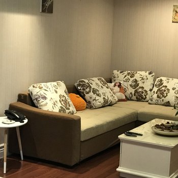 乌鲁木齐藤蔓小屋酒店提供图片