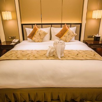 波司登国际开元名庭大酒店酒店提供图片