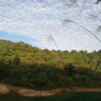 河源星月小居客栈酒店提供图片