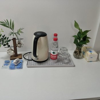 南京高长青公寓(东风河游园分店)